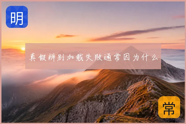 真假辨别加载失败通常因为什么